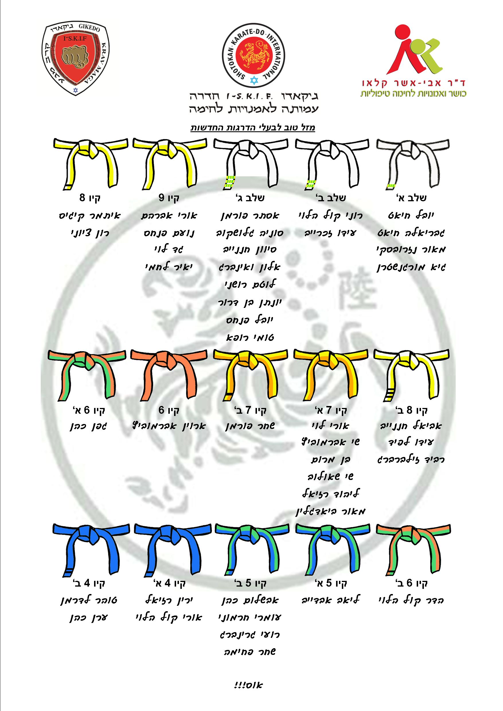 דרגות 25.3.2013